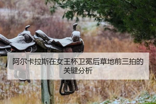 a-er-ka-la-si-zai-nv-wang-bei-wei-mian-hou-cao-di-qian-san-pai-de-guan-jian-fen-xi-2-934.jpg