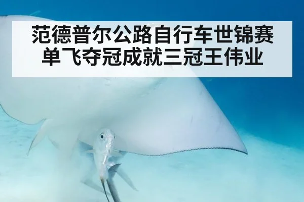 范德普尔公路自行车世锦赛单飞夺冠成就三冠王伟业